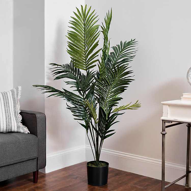 15 Amazing Home Plants That Can Thrive Indoors