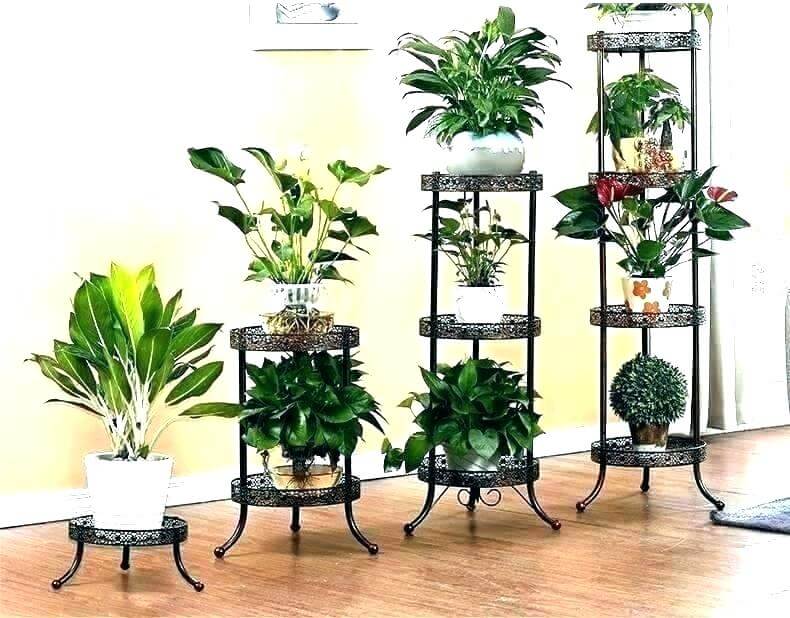 Decorative Plant Stand Ideas To Beautify Your Interiors