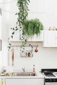 Refresh Decor With Some Greenery